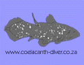 www.coelacanth-diver.co.za