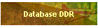 Database DDR