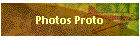 Photos Proto