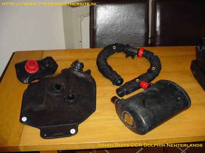 Johan Duits Dolphin 011