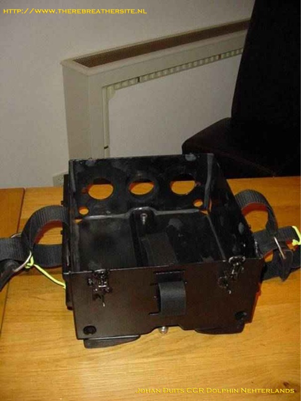 Johan Duits Dolphin 015