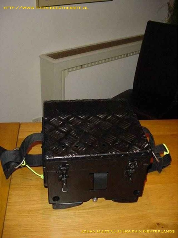 Johan Duits Dolphin 016