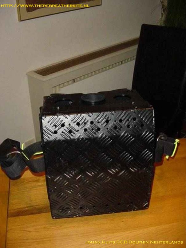 Johan Duits Dolphin 017