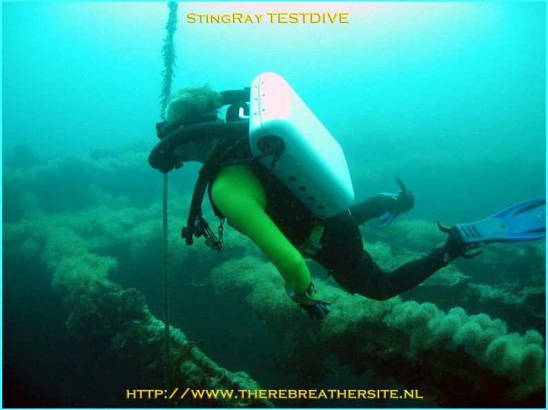 Errol Harding Stingray and Abyss 006