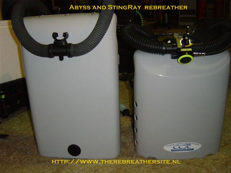Errol Harding Stingray and Abyss 014