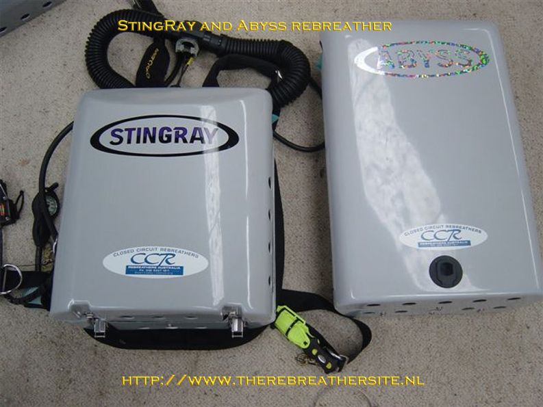 Errol Harding Stingray and Abyss 015