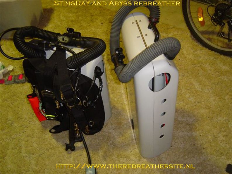 Errol Harding Stingray and Abyss 017