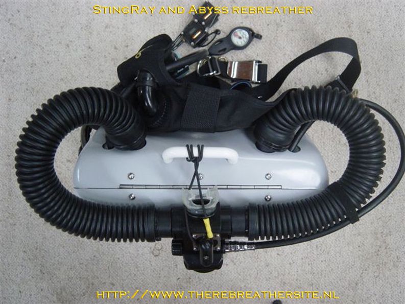 Errol Harding Stingray and Abyss 023