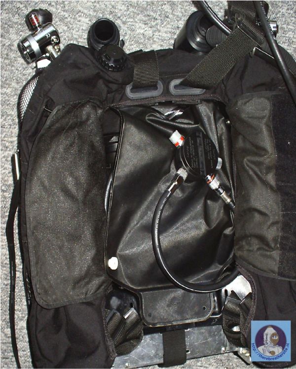 Kristiaan Slootmaekers Black Dolphin 018