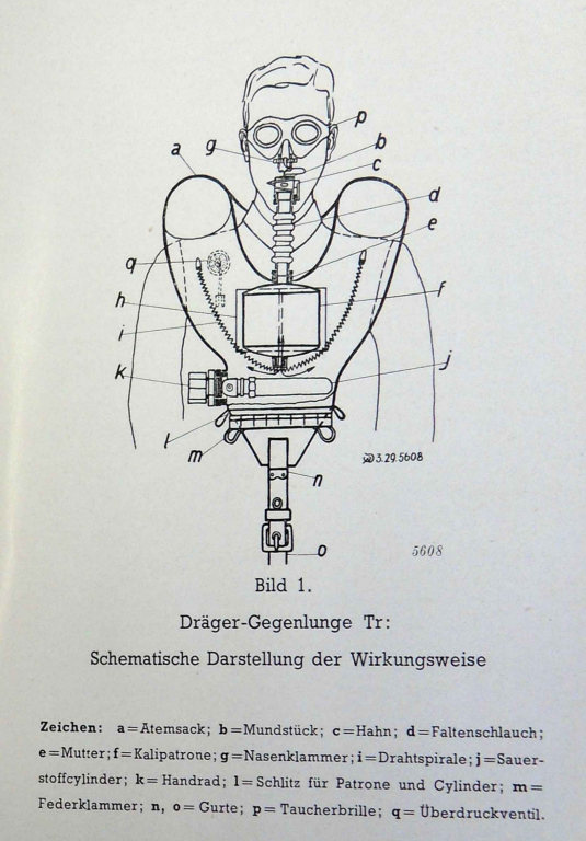 Gegenlung 11