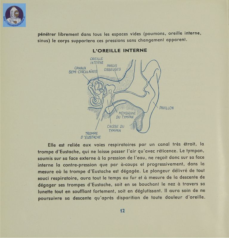 Page12