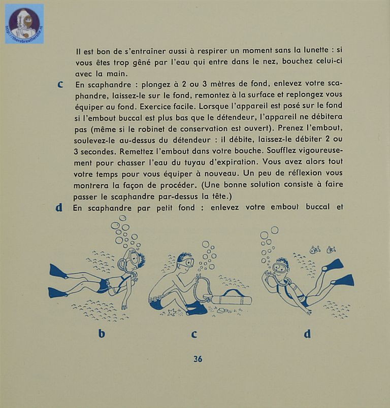 Page36