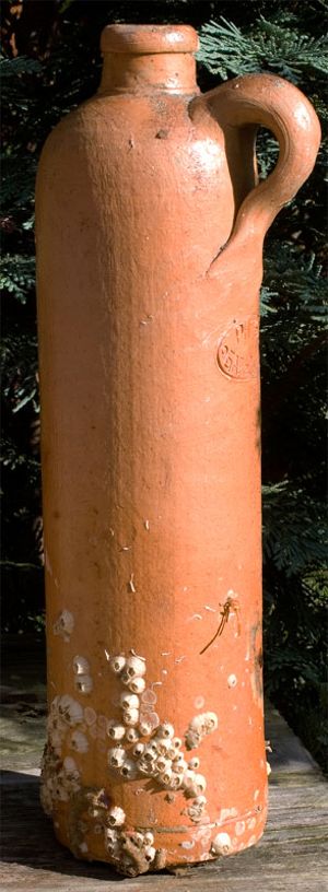 014 Therebreathersite Kruikwouter01vKruikwo