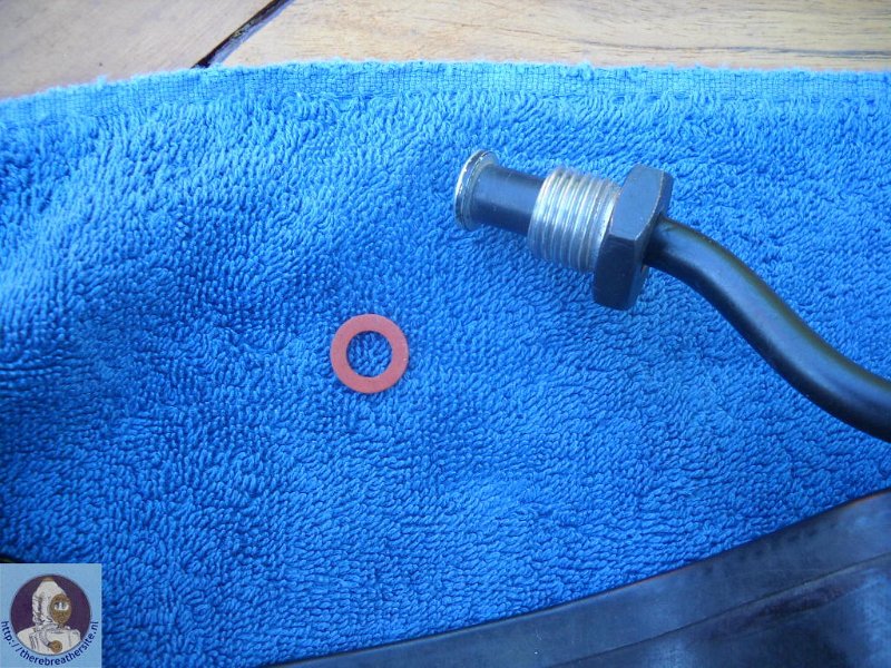 Therebreathersite Norge II 037