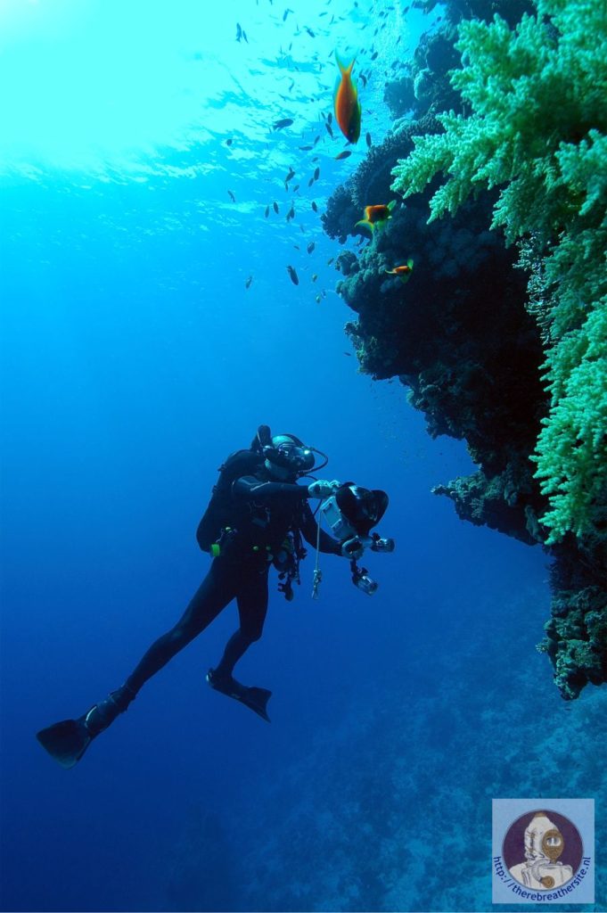 Therebreathersite Sentinel 002