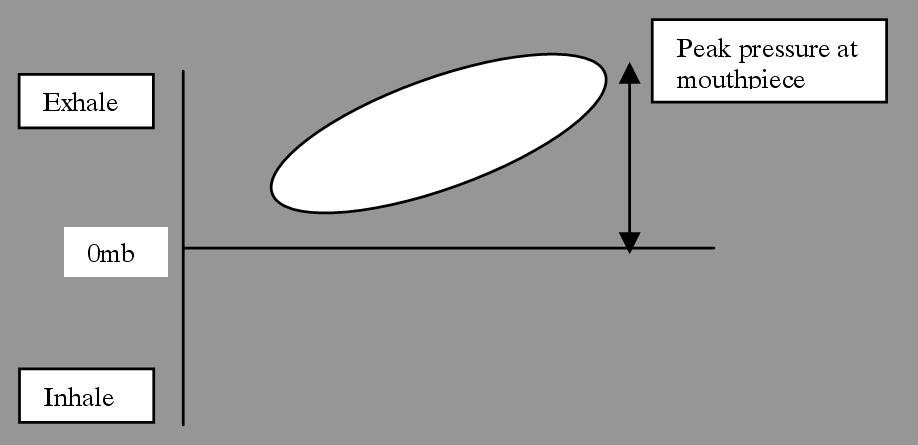 Therebreathersite Sentinel 008