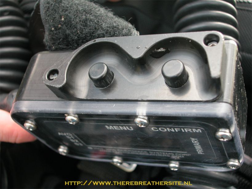 Therebreathersite Megalodon 009