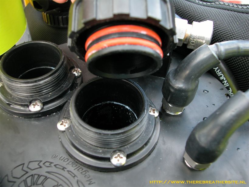 Therebreathersite Megalodon 014