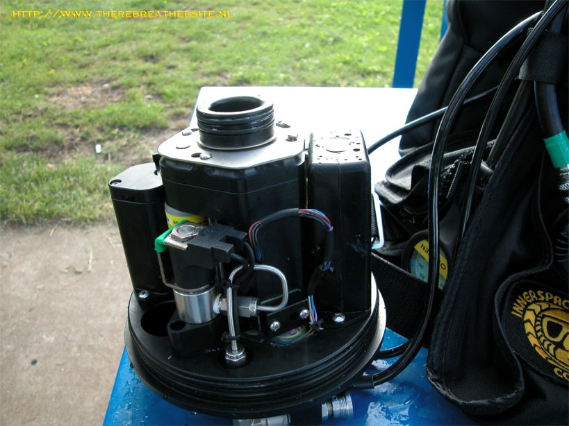 Therebreathersite Megalodon 025