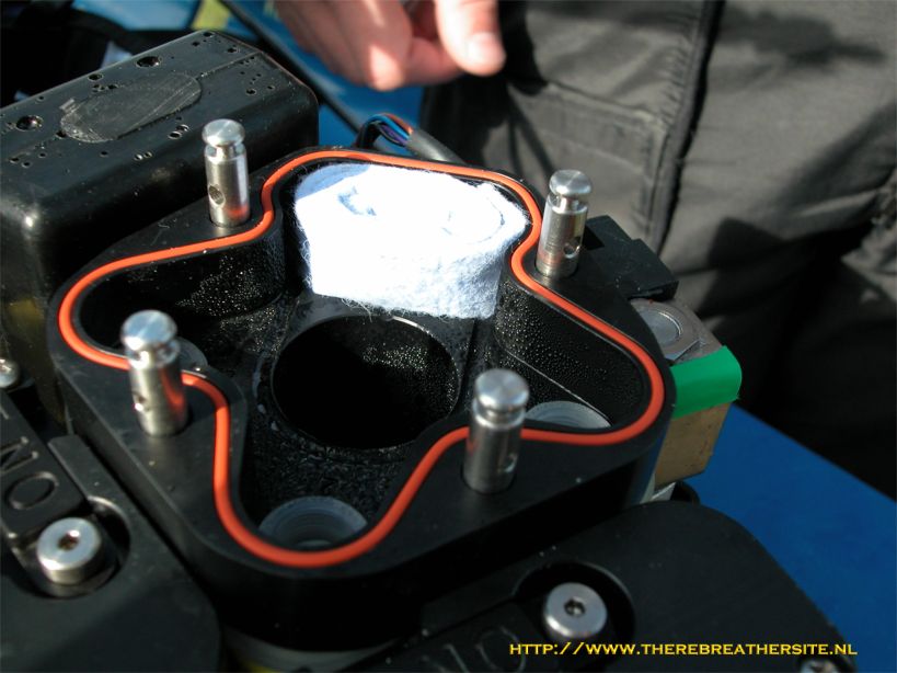 Therebreathersite Megalodon 030