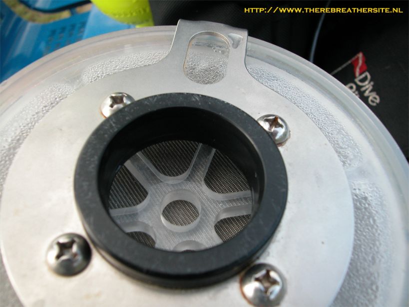 Therebreathersite Megalodon 041