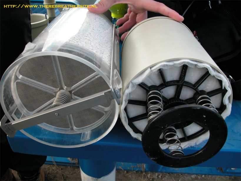 Therebreathersite Megalodon 042