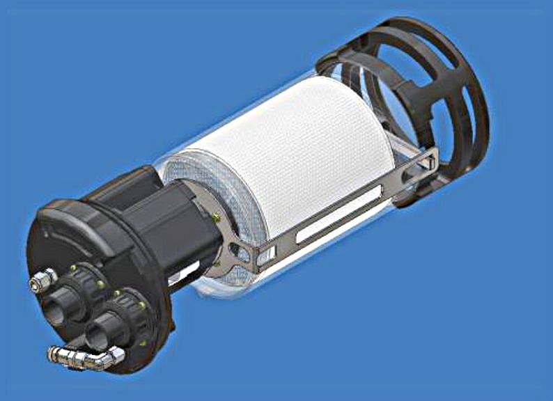 Therebreathersite Megalodon 045