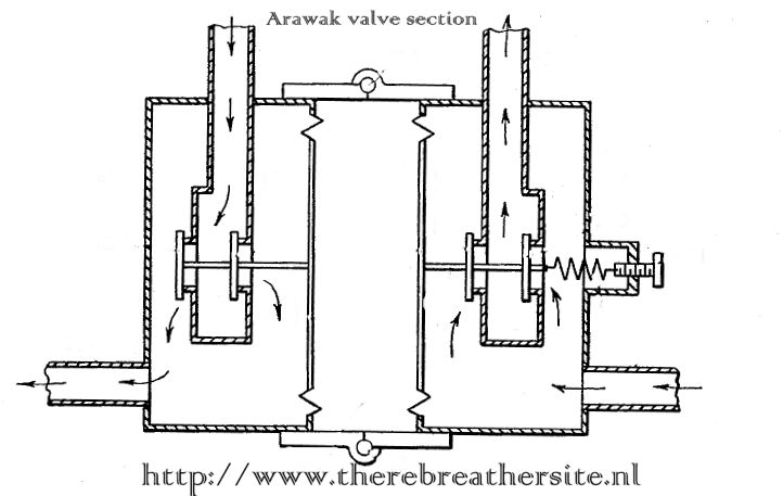 Therebreathersite Arawak 016