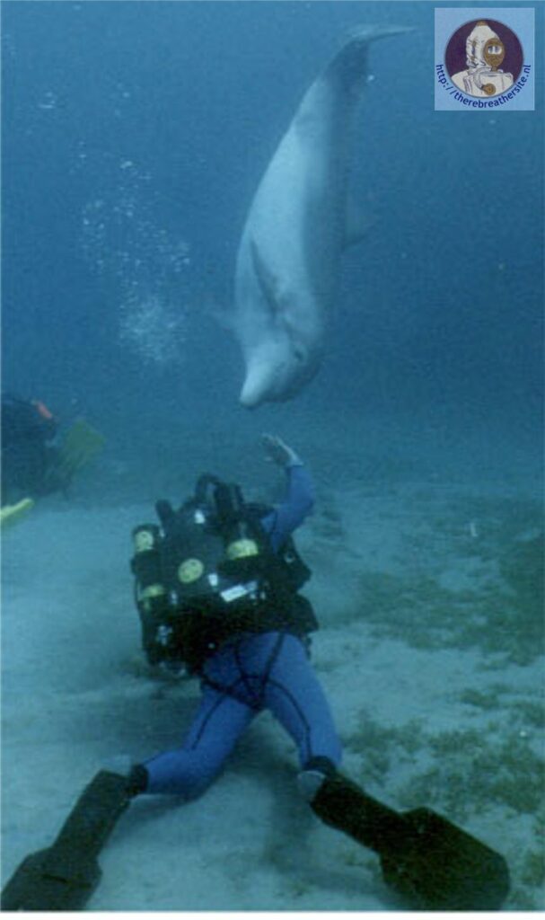 Therebreathersite UT240 004