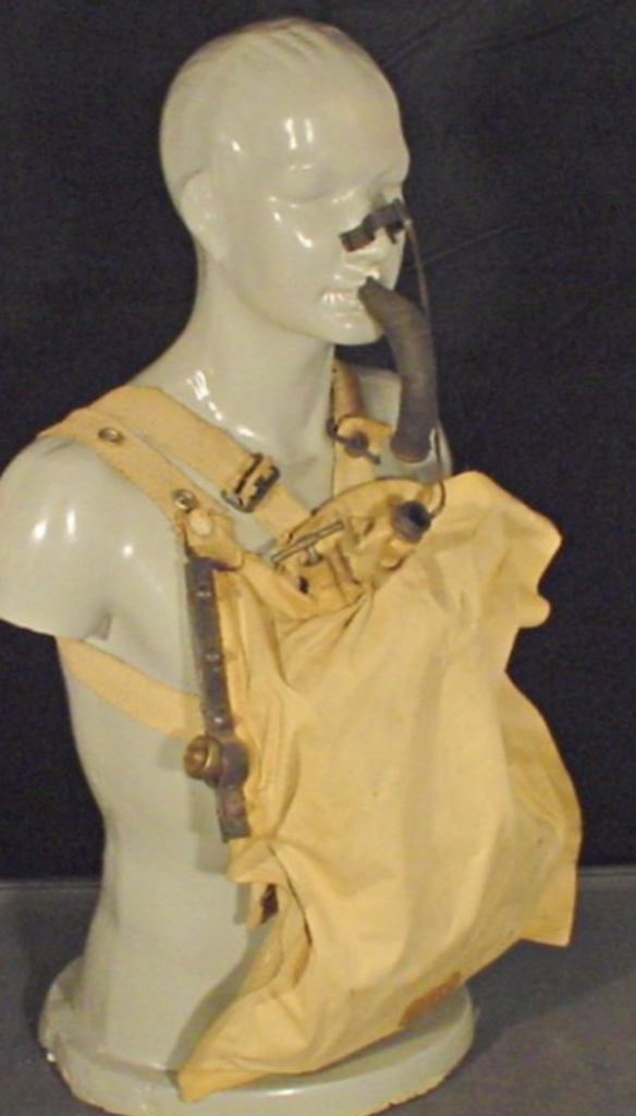 Pneumatophor 002